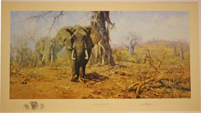 'Land of the Baobab Tree' 1998